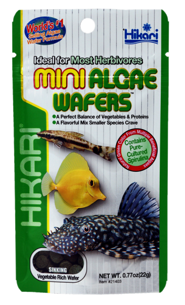 Hikari Mini Algae Wafers
